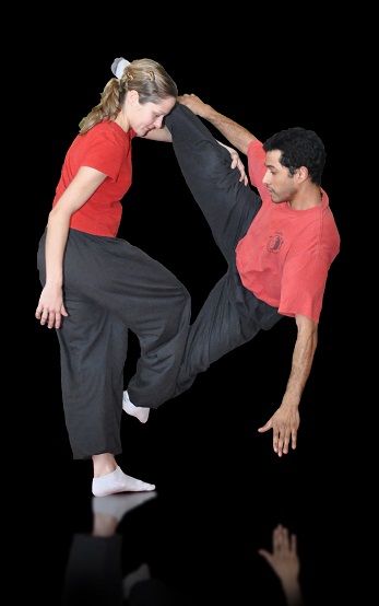 Taoist Arts Organisation – Chinese Martial Arts Classes